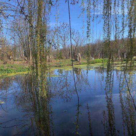 La Barcelle, Une Pause Nature. Perrigny  Buitenkant foto